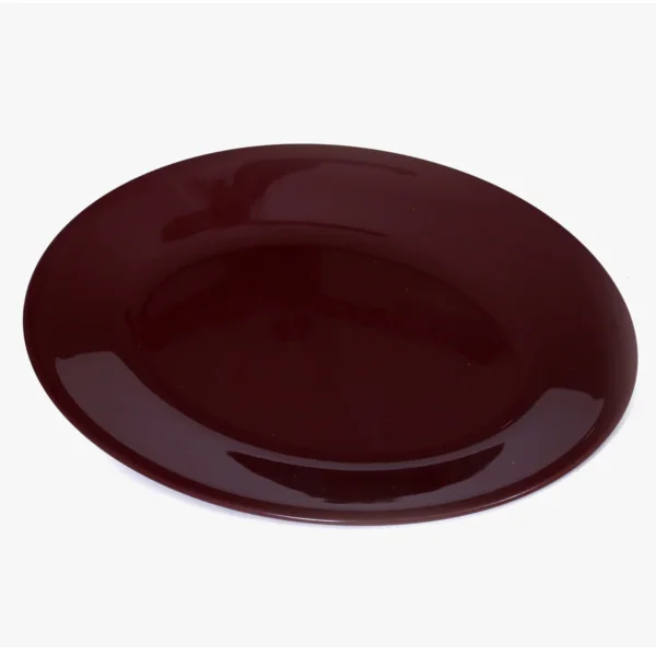 Signoraware Rice Plate - Image 4