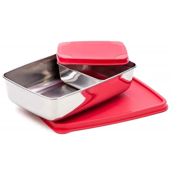 Signoraware Compact Steel Lunch Box (Big)