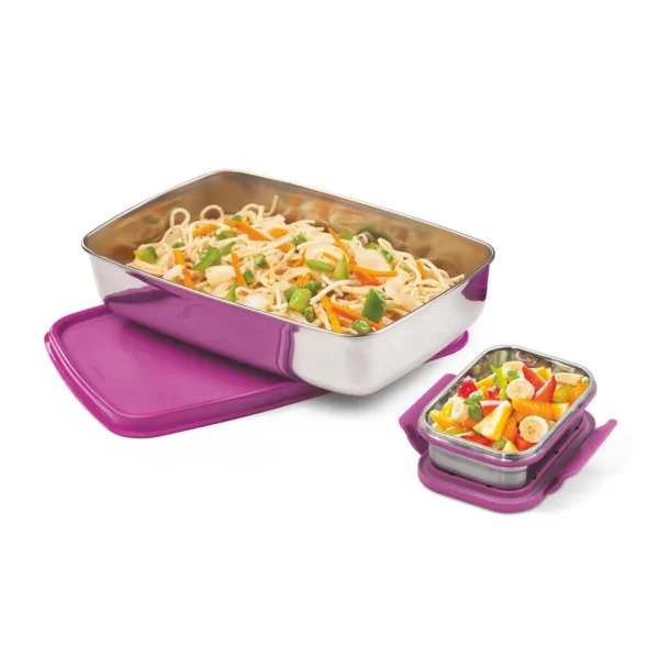 Signoraware Munch-Mate Steel Lunch Box (Big)