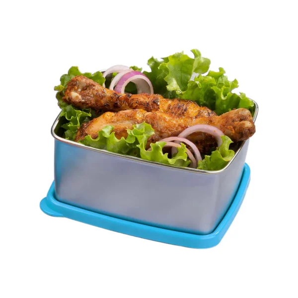 Signoraware Freezer Fresh Small Steel