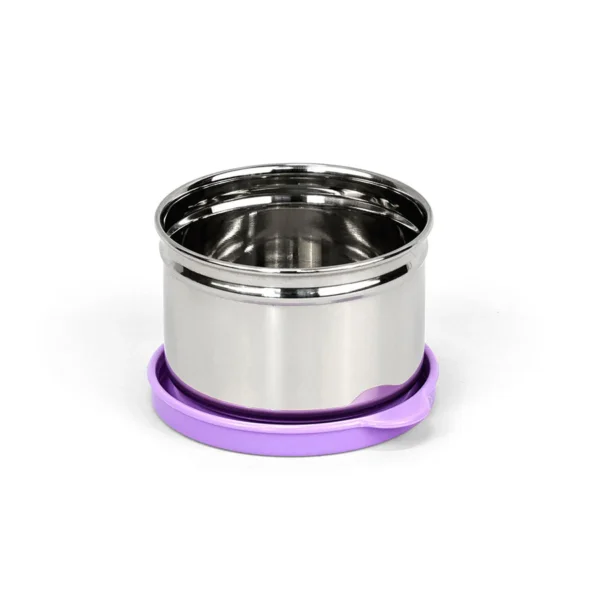 Signoraware Mini Fresh Steel Big Container 170ml