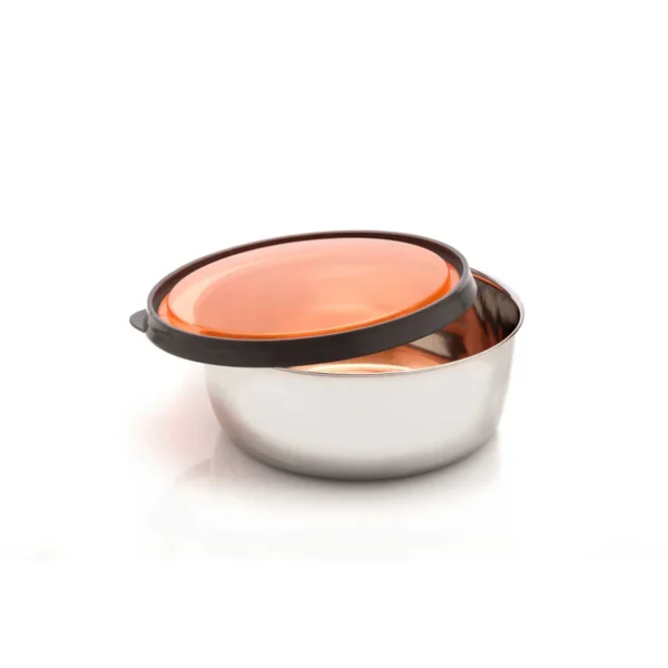 Signoraware Elegant Steel Bowl 625 ml-Orange