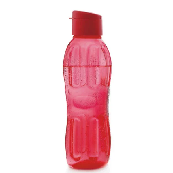 Signoraware Fliptop Aqua Fresh Bottle 750 ml. | One Piece