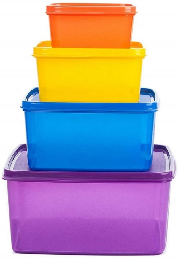 SignoraWare Family Fresh Plastic Storage container, Set of 4, (2500ML, 1200 ML, 500 ML, 160 ML), Multicolor