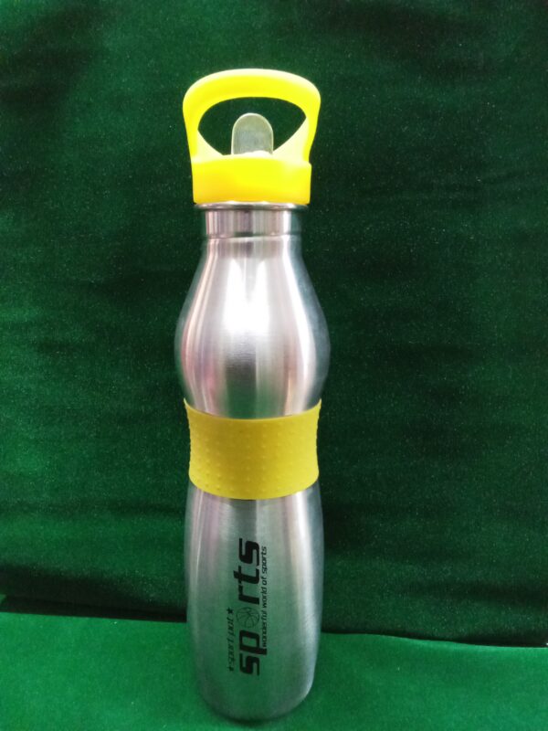 Water bottle (Stainless steel)750 ml